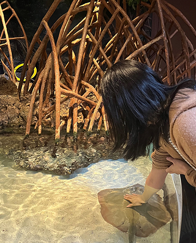 Liling Chang touching a sting ray