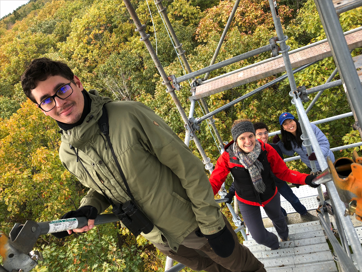 Flux Tower
