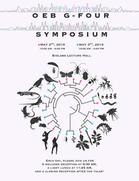OEB G4 symposium logo