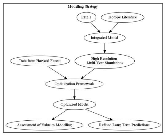 Modelling Strategy