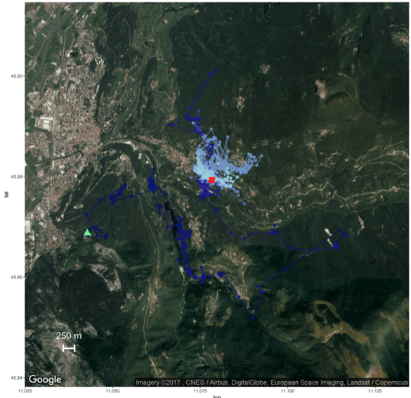 Roe Deer Location