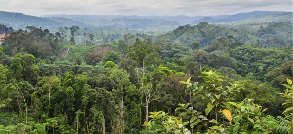 congo