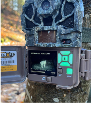 wolf camera